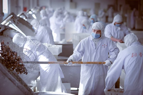 Kinesiska Arbetare Sätter Färser Klibbig Risbollar Även Känd Som Yuanxiao — Stockfoto