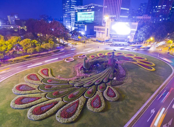 Légi Felvétel Páva Témájú Virágágyás Gulou Téren Éjjel Nanjing City — Stock Fotó