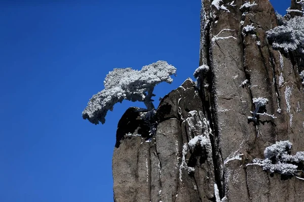 Paisaje Pinos Cubiertos Nieve Montaña Huangshan Monte Huangshan Ciudad Huangshan — Foto de Stock