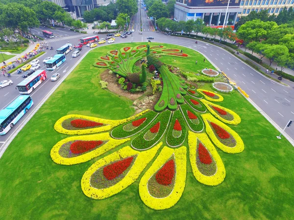 Vista Aérea Canteiro Flores Temático Pavão Praça Gulou Cidade Nanjing — Fotografia de Stock