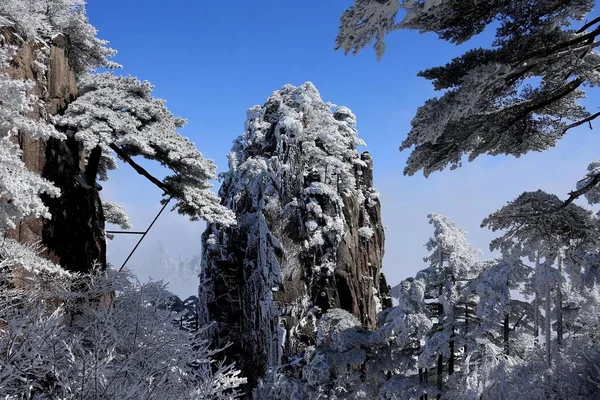 Krajina Borovic Sněhem Huangshan Mountain Nebo Huangshan Hory Chuang Šan — Stock fotografie