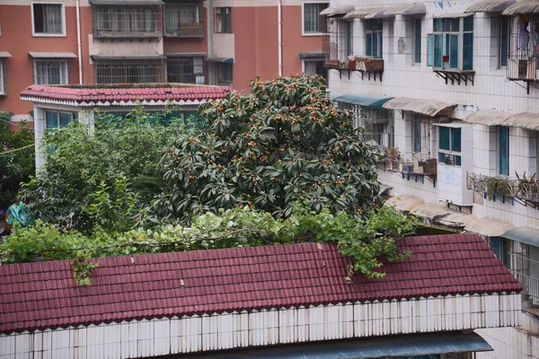Kilátás Tetőtéri Kertben Illegálisan Épült Apartman Tulajdonosok Egy Lakóépület Guiyang — Stock Fotó