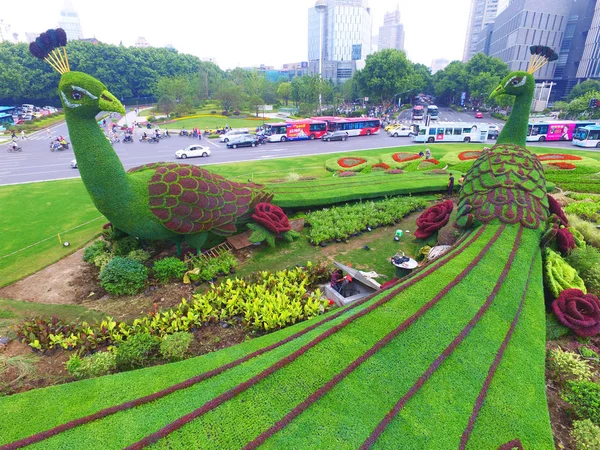 Vista Aérea Canteiro Flores Temático Pavão Praça Gulou Cidade Nanjing — Fotografia de Stock