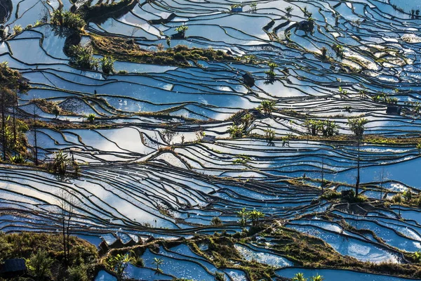 Paisagem Dos Campos Arroz Terraços Dos Terraços Arroz Honghe Hani — Fotografia de Stock