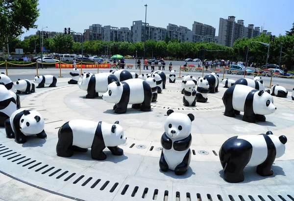 Vista Esculturas Panda Gigantes Exhibición Plaza Chamtime Parque Alta Tecnología — Foto de Stock