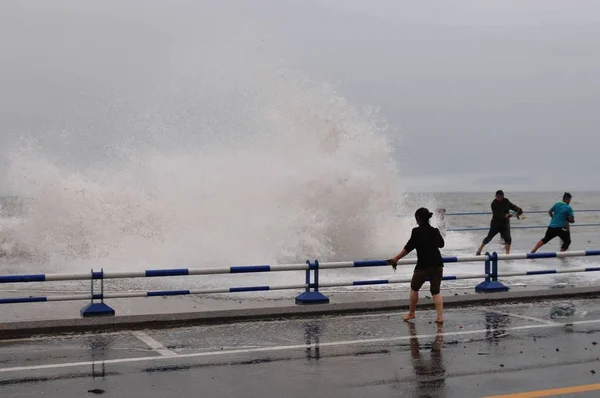 Tourists Pick Kelp Waves Tidal Bore Surge Barrier Banks Seacoast — Stock Photo, Image