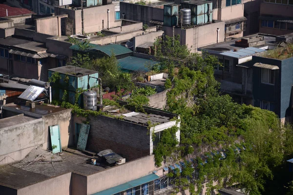 Vue Jardin Sur Toit Construit Illégalement Par Des Propriétaires Appartements — Photo