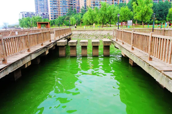 View Outbreak Blue Green Algae Chaibo Lake Wuhan City Central — Stock Photo, Image