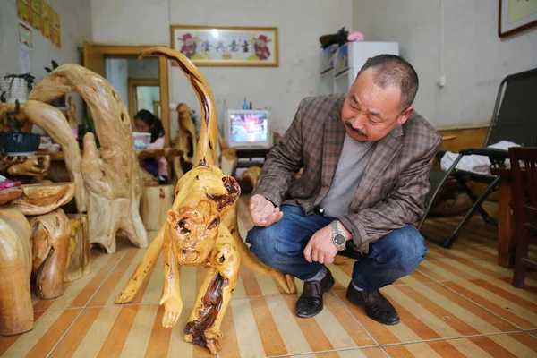 Chinese Cook Chen Liu Pictured His Collections Root Carvings Home — Stock Photo, Image