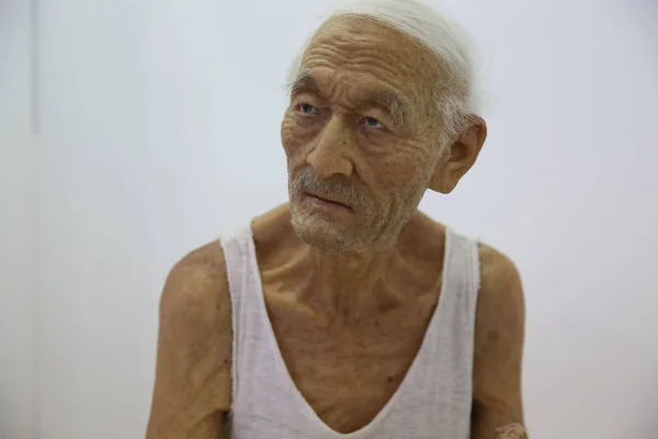 Una Escultura Impresión Anciano Chino Hecho Gel Sílice Representa Durante — Foto de Stock