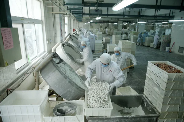 Китайские Рабочие Делают Клёцкие Рисовые Пельмени Известные Yuanxiao Yuan Xiao — стоковое фото