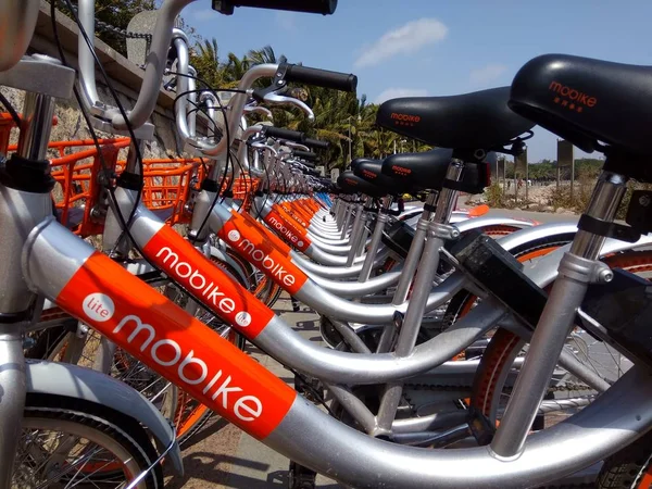 Vue Des Bicyclettes Service Partage Vélos Chinois Dans Parc Ville — Photo