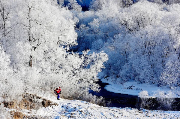 Lanscape Rime Снігові Декорації Біля Річки Курбін Xunke Повіту Hehe — стокове фото