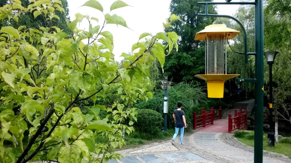 Citizen Walks Solar Energy Mosquito Killing Lantern Haodong Ecological Park — Stock Photo, Image