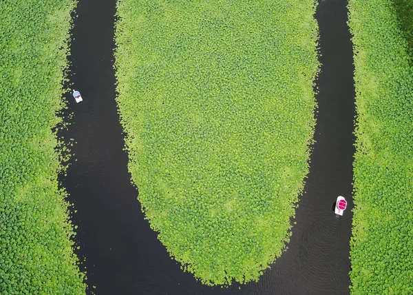 Luftaufnahme Von Booten Die Donghu See Der Stadt Shenyang Provinz — Stockfoto