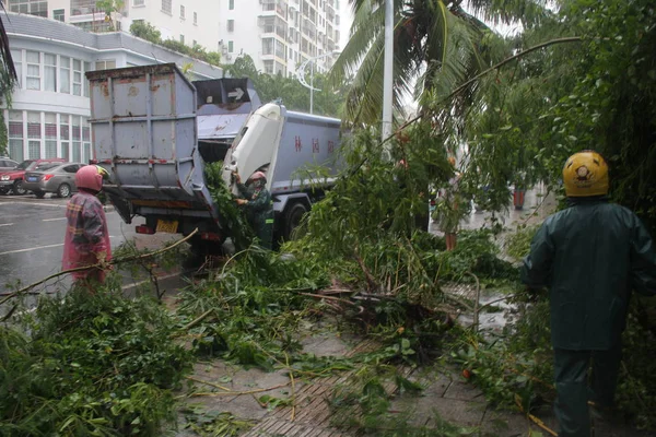 Personal Trabajo Retira Ramas Árbol Desarraigado Por Fuerte Viento Causado —  Fotos de Stock