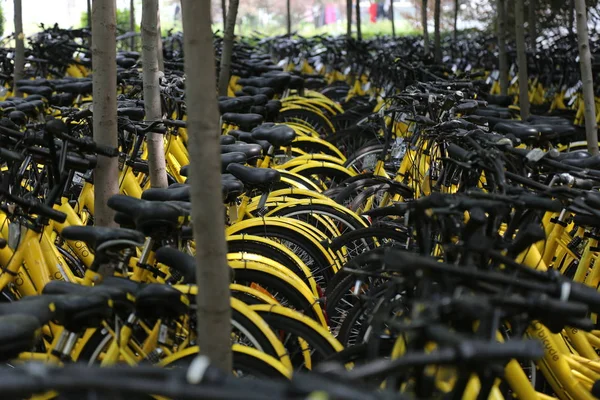 Fahrräder Des Chinesischen Fahrradverleihdienstes Ofo Sind Einem Hain Auf Dem — Stockfoto