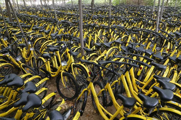 中国自行车共享服务的自行车被锁在中国中部河南省郑州航空大学校园的一片小树林里 2011年7月17日 — 图库照片