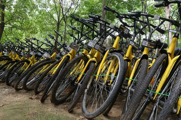 Rowerów Chińskich Rowerów Podziału Ofo Usługi Zablokowane Gaju Kampusie Uniwersytetu — Zdjęcie stockowe