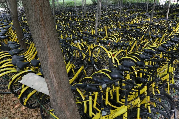 Biciclette Servizio Bike Sharing Cinese Ofo Sono Bloccati Boschetto Nel — Foto Stock