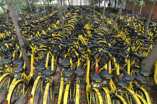 Fahrräder Des Chinesischen Fahrradverleihdienstes Ofo Sind Einem Hain Auf Dem — Stockfoto