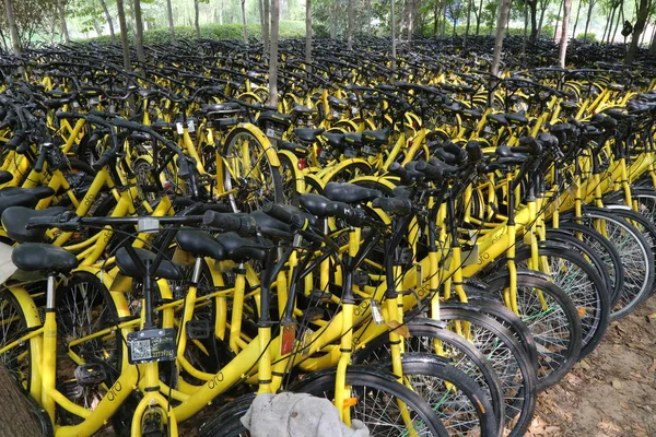 Biciclette Servizio Bike Sharing Cinese Ofo Sono Bloccati Boschetto Nel — Foto Stock
