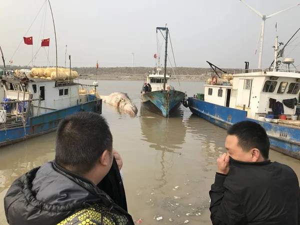 Moradores Chineses Olham Para Baleia Baleen Morta Encontrada Sem Cabeça — Fotografia de Stock