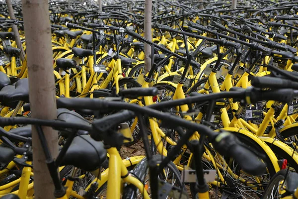 Fahrräder Des Chinesischen Fahrradverleihdienstes Ofo Sind Einem Hain Auf Dem — Stockfoto