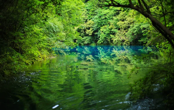 Vue Lac Five Flower Qui Retrouve Beauté Dans Vallée Jiuzhaigou — Photo