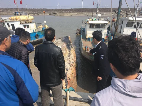 Moradores Chineses Olham Para Baleia Morta Sem Cabeça Barbatanas Distrito — Fotografia de Stock