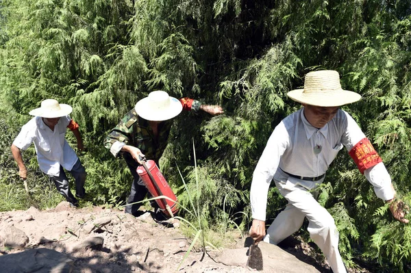 Forestry Workers Patrolling Yangtze River Scorching Heat Yunyang County Chongqing — Stock Photo, Image