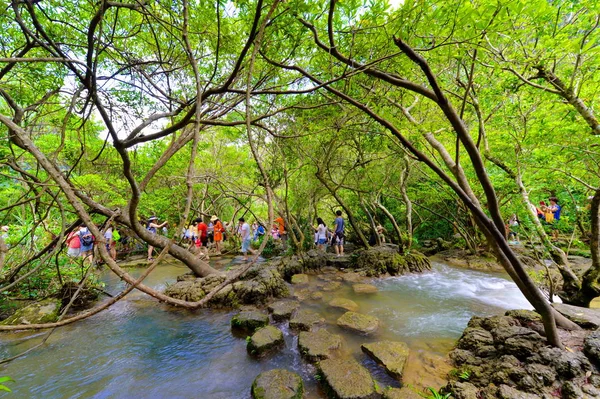 Krajobraz Scenic Spot Xiaoqikong Małe Seven Arches Gminie Libo Qiannan — Zdjęcie stockowe