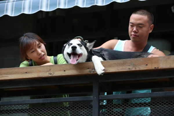 Los Clientes Perro Son Fotografiados Frente Primer Restaurante Temático Para — Foto de Stock