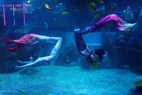 Kínai Munkavállalók Öltözött Sellő Jelmezek Elvégzésére Során Mermaid Show Liandao — Stock Fotó