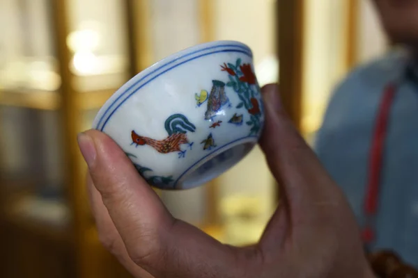 Chinese Expert Shows Porcelain Chicken Cup Ming Dynasty 1368 1644 — Stock Photo, Image