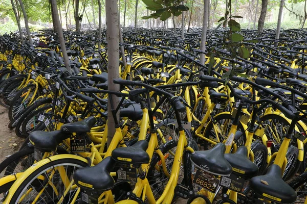 Las Bicicletas Del Servicio Chino Bicicletas Compartidas Ofo Están Encerradas —  Fotos de Stock