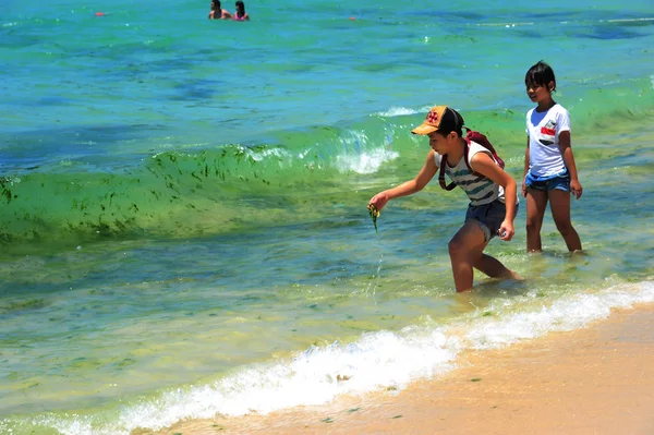 Туристи Веселитися Забрудненій Воді Синьо Зелених Водоростей Цвітіння Пляжі Курорту — стокове фото