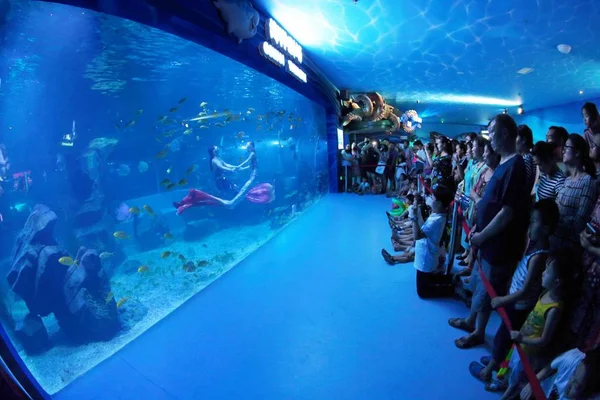 Les Parents Chinois Leurs Enfants Regardent Spectacle Sirène Liandao Underwater — Photo