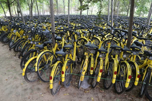 Vélos Service Chinois Partage Vélos Ofo Sont Verrouillés Dans Bosquet — Photo