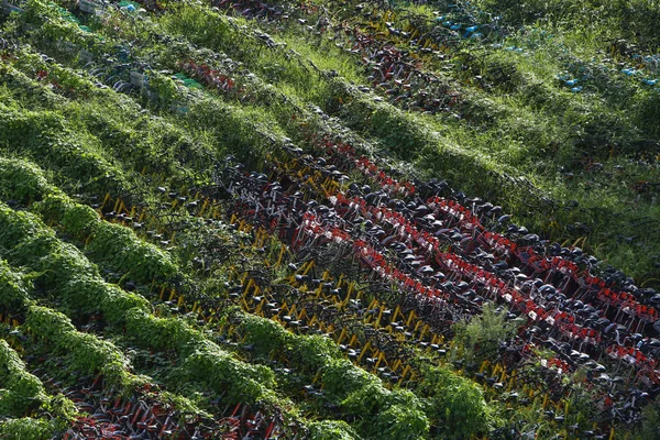 Abandoned Bicycles Mobike Orange Ofo Yellow Xiaoming Danche Xiaoming Bike — ストック写真