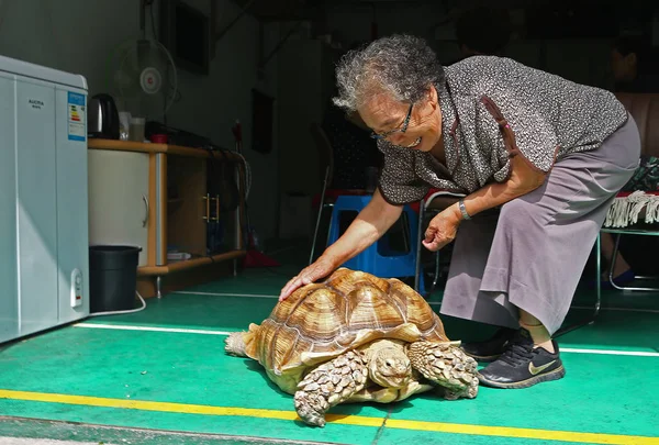 Year Old Chinese Woman Hao Yulan Takes Care Her Giant — Stock Photo, Image