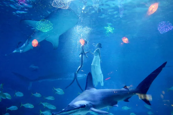 Taucher Treten Umgeben Von Meerestieren Während Einer Unterwasser Hochzeitsshow Vorfeld — Stockfoto