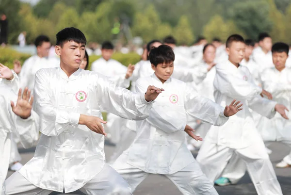 Liefhebbers Praktijk Tai Chi Internationale Uitwisseling Centrum Van Tai Chi — Stockfoto