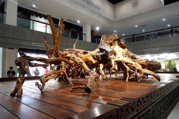 Krokodil-Skelett hautnah — Stockfoto © Sia-James #95051818