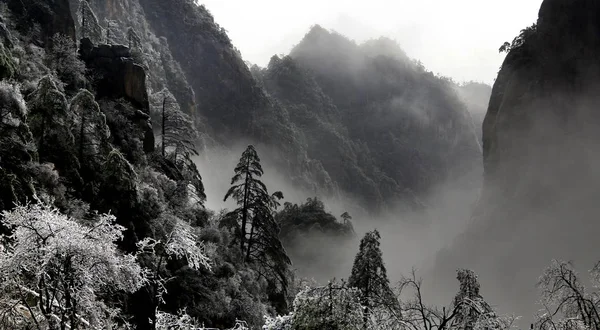 Paysage Arbres Couverts Rime Dans Endroit Pittoresque Montagne Huangshan Dans — Photo