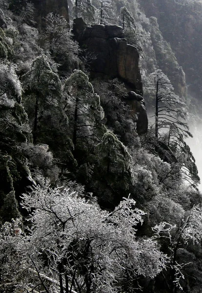 Krajina Rime Mechem Obrostlých Stromů Malebném Místě Huangshan Mountain Chuang — Stock fotografie