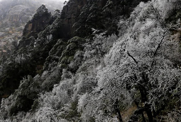 Krajina Rime Mechem Obrostlých Stromů Malebném Místě Huangshan Mountain Chuang — Stock fotografie