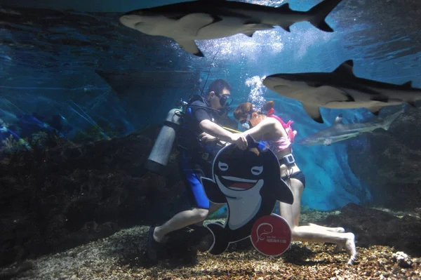 Couple Kisses Underwater Shark Tank Mark Qixi Festival Also Known — стоковое фото