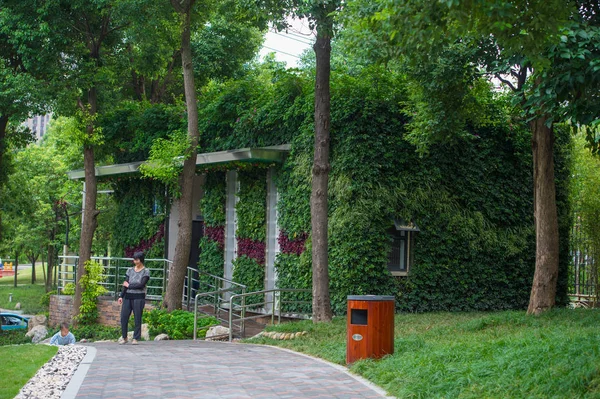 Pedoni Passano Davanti Bagno Pubblico Coperto Piante Verdi Circondato Alberi — Foto Stock