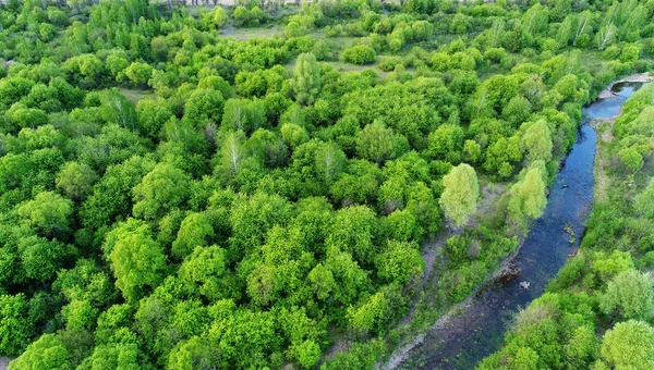 Widok Lotu Ptaka Pokazuje Scenerię Greater Khingan Range Znany Również — Zdjęcie stockowe